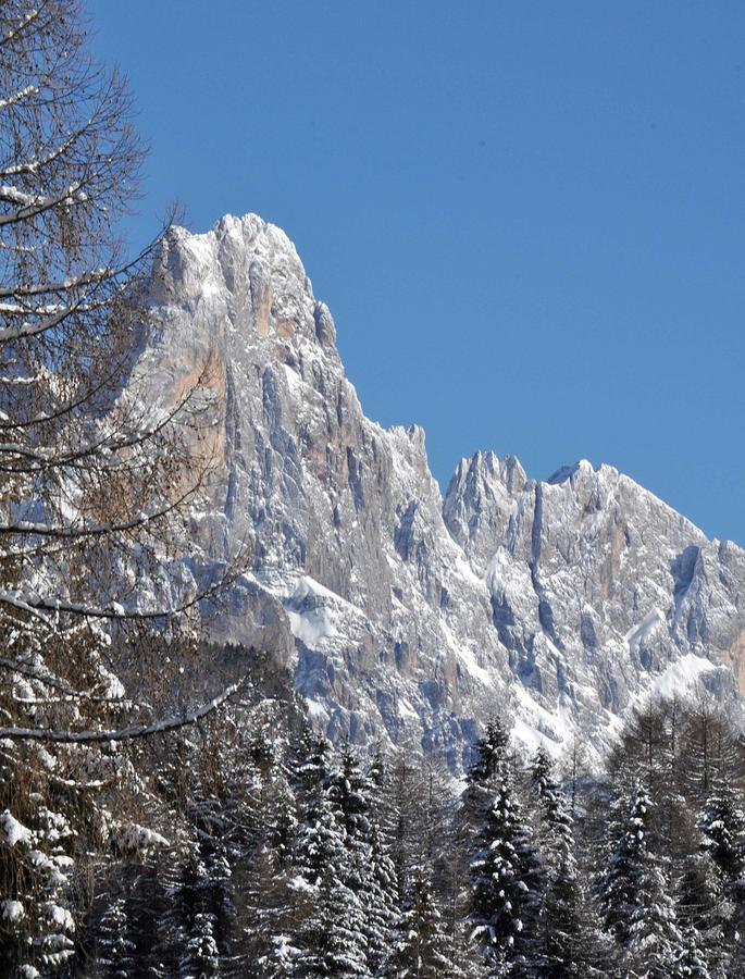 Albergo Antico بريدازو المظهر الخارجي الصورة